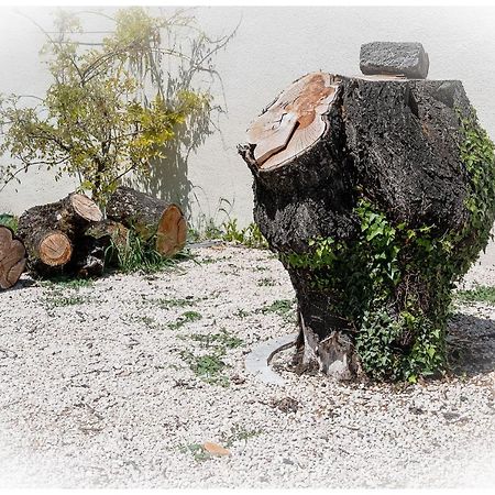 Maison De Retraite Vertaizon エクステリア 写真